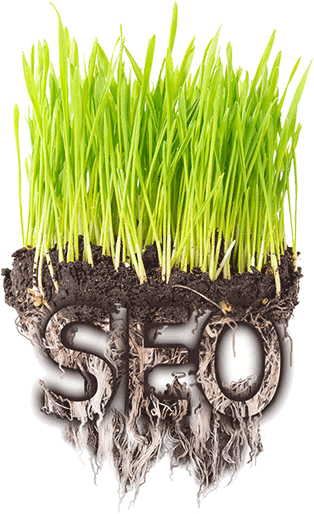 Grassroots SEO - Planting seeds for a fertile crop