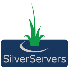 SilverServers Logo