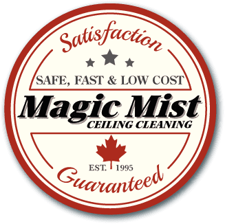 Magic Mist Ceiling Cleaning