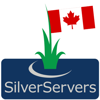 SilverServers July 2023 Newsletter