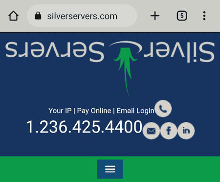 SilverServers Upside-Down Logo